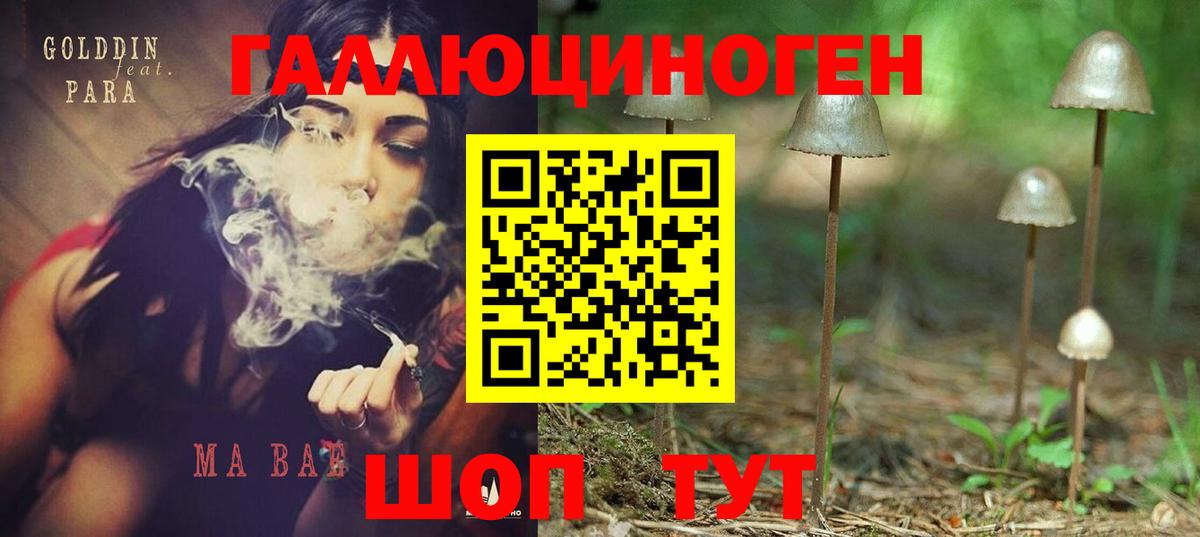 Арзамас  Псилоцибиновые грибы ЛСД  Вход с VPN 